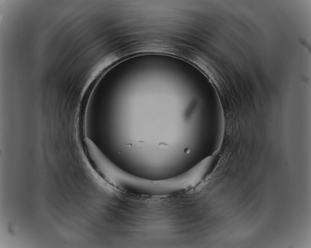 X0000095531139200712141456