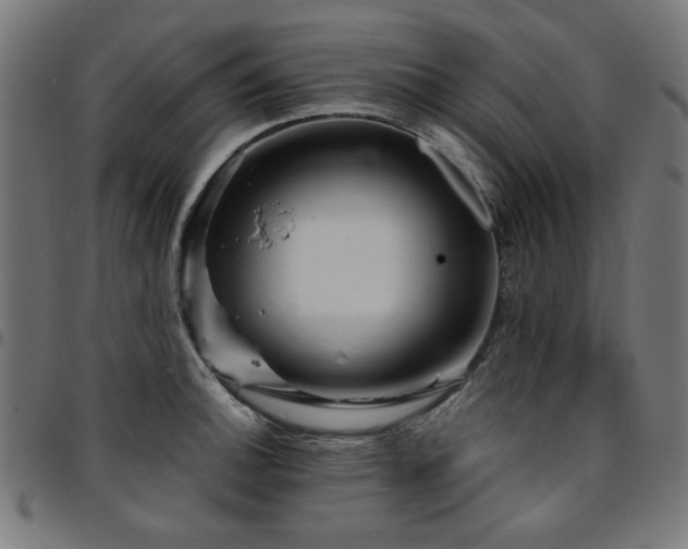 X0000095531140200712141456