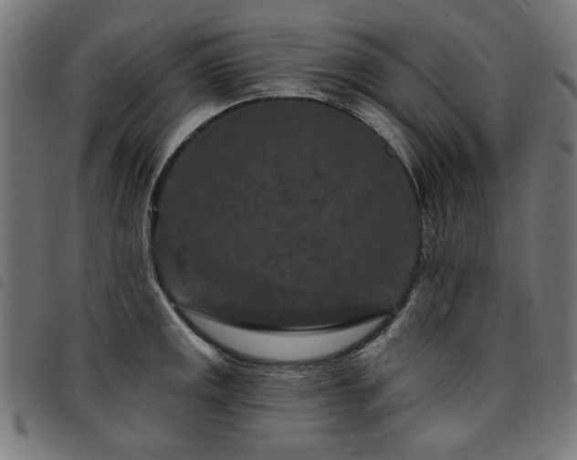 X0000095531141200712141457