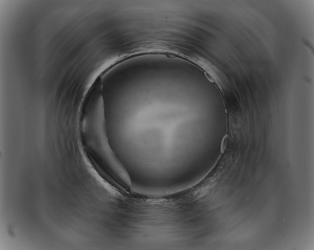X0000095531142200712141457