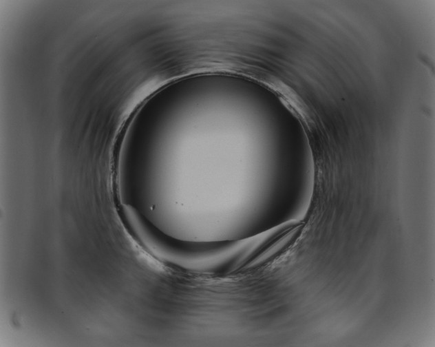 X0000095531143200712141457