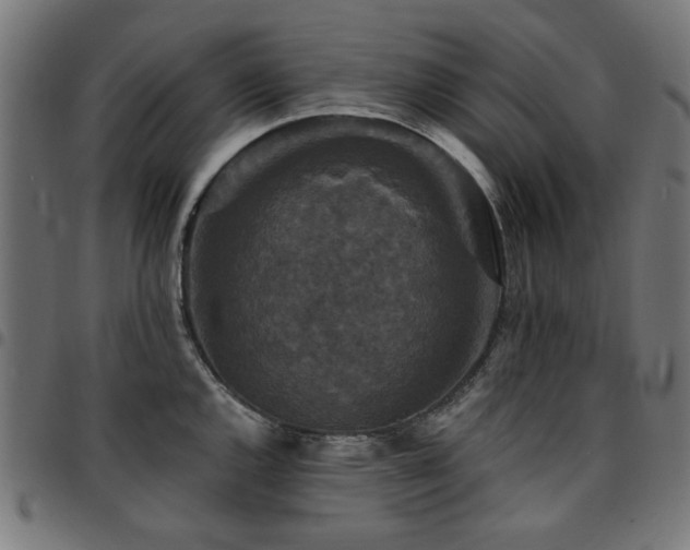 X0000095531144200712141457