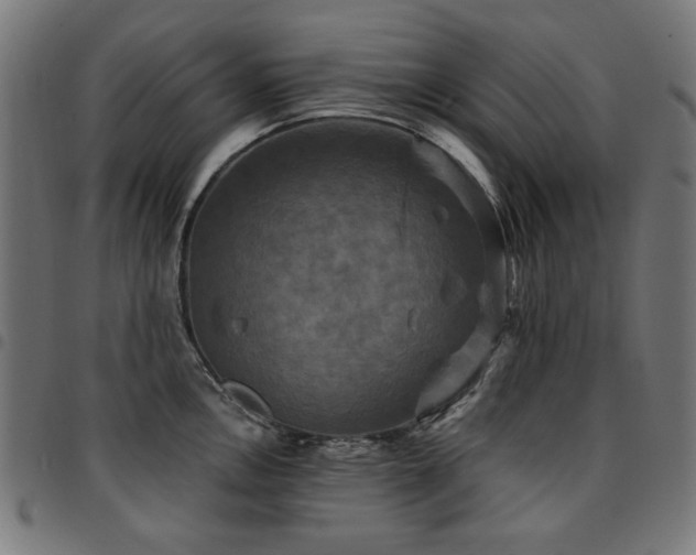 X0000095531146200712141457