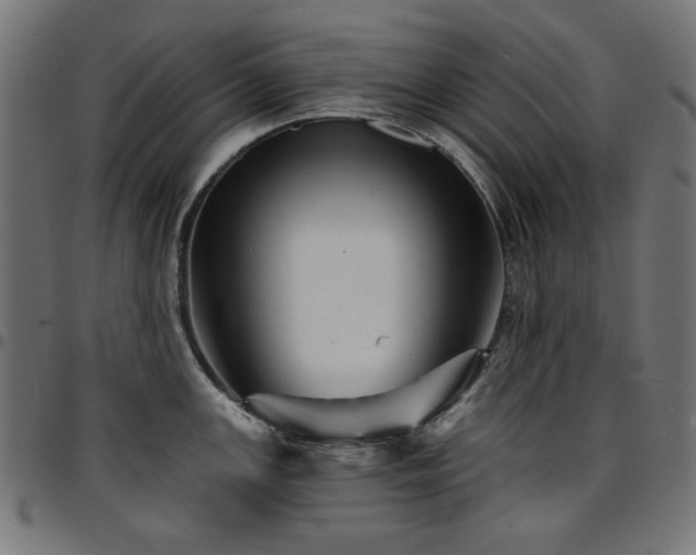 X0000095531147200712141457