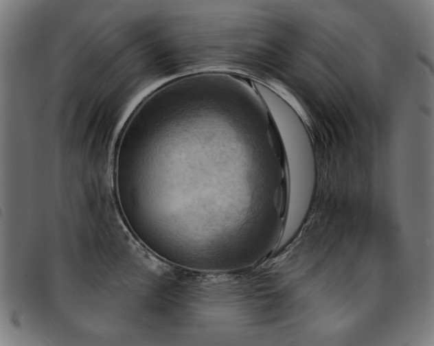 X0000095531148200712141457