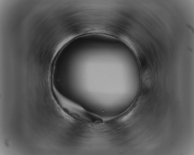 X0000095531149200712141457