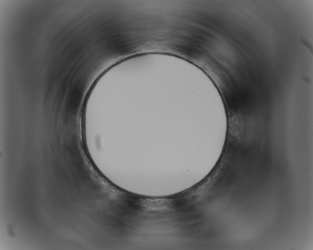 X0000095531150200712141457