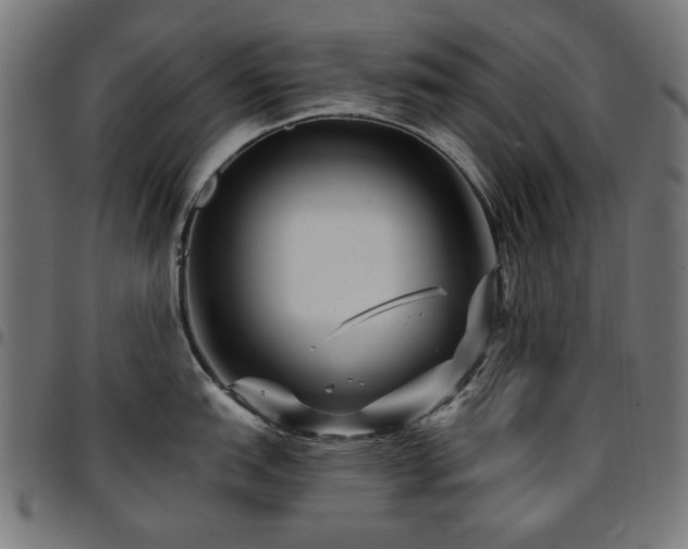 X0000095531151200712141457