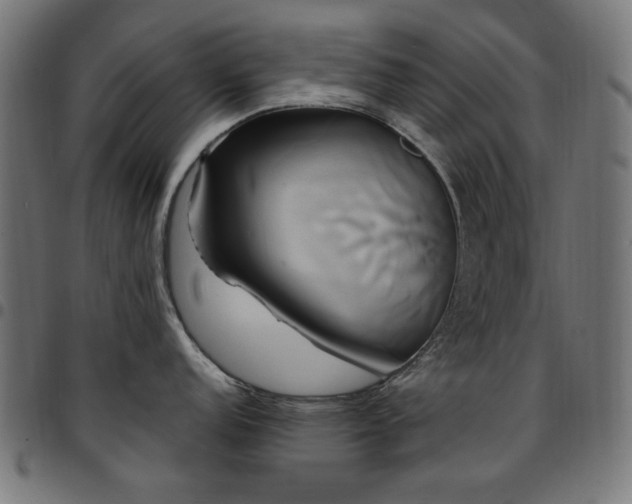 X0000095531152200712141457