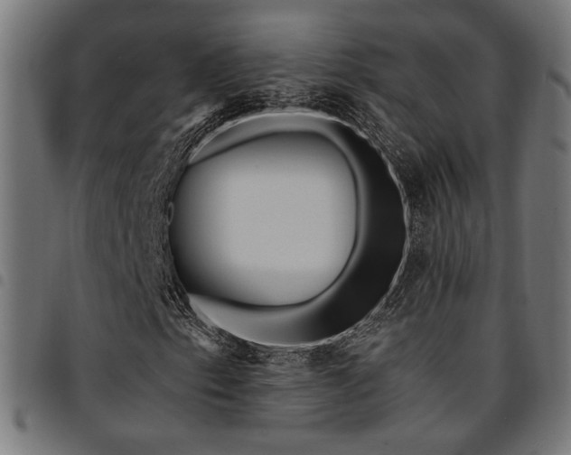 X0000095531153200712141456