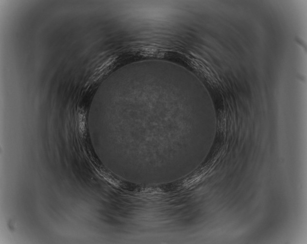 X0000095531154200712141456