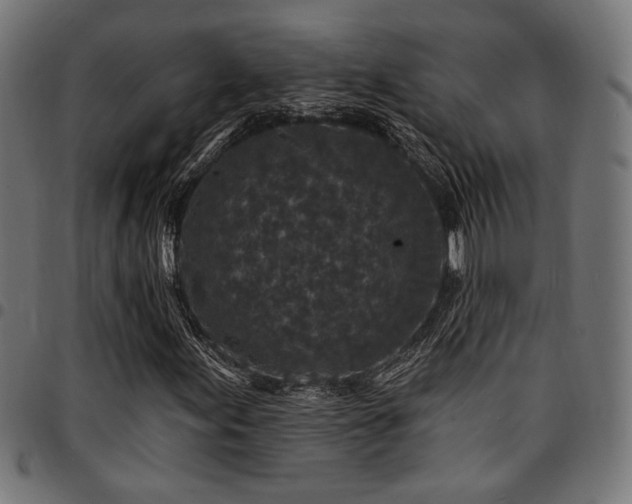 X0000095531155200712141456