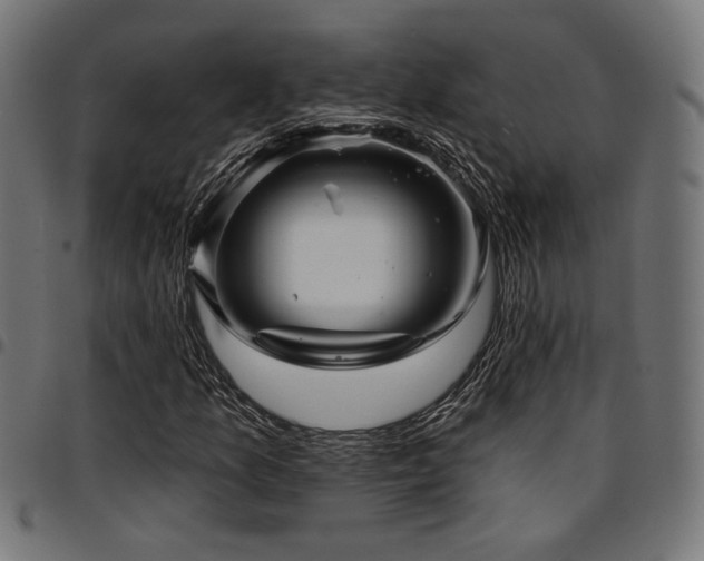 X0000095531157200712141456