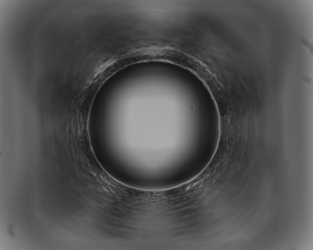 X0000095531158200712141456