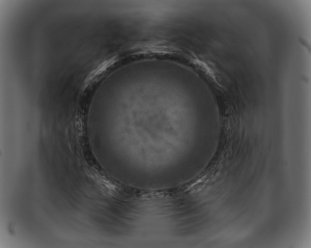 X0000095531159200712141456