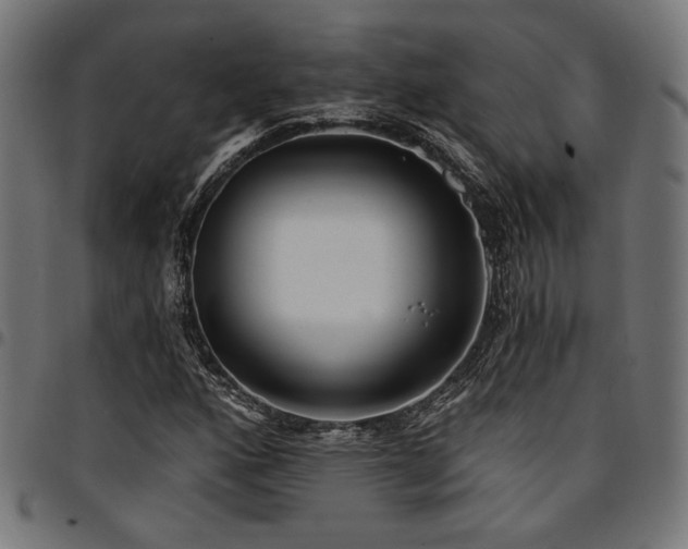 X0000095531160200712141456