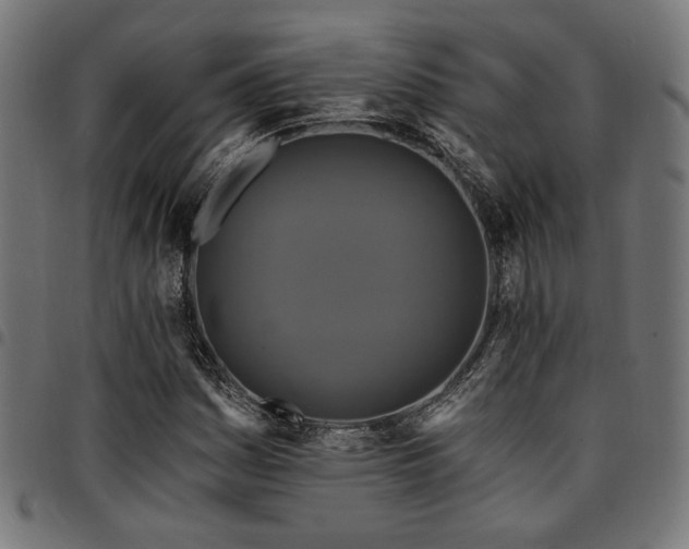 X0000095531161200712141456