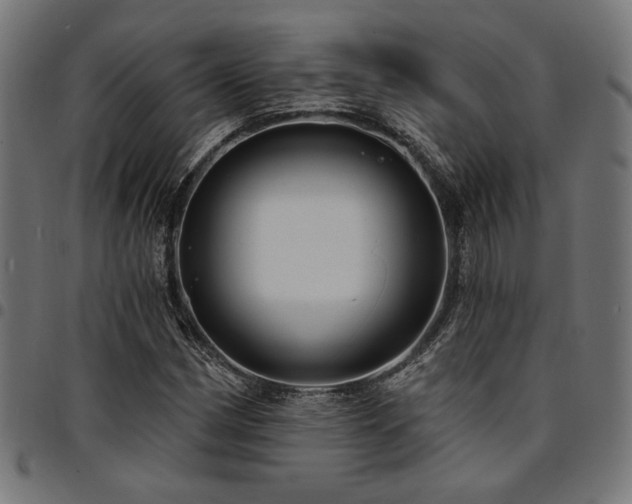 X0000095531162200712141456