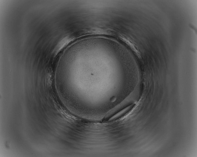 X0000095531163200712141456
