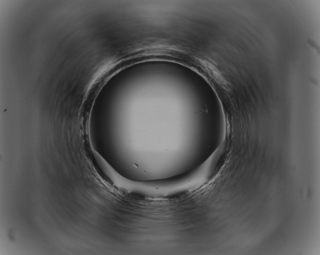 X0000095531164200712141456