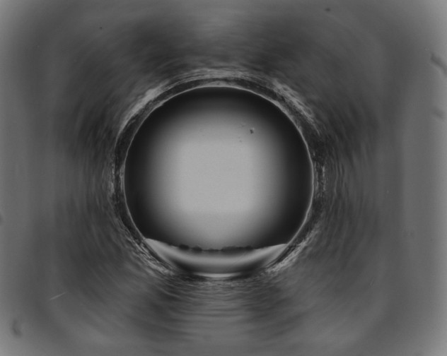 X0000095531165200712141456