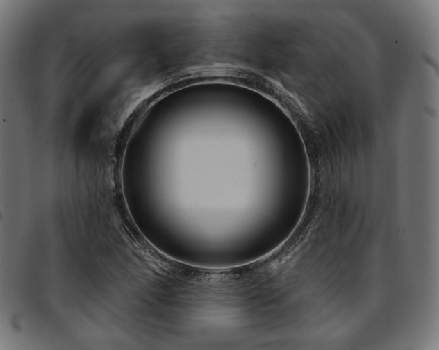X0000095531166200712141456