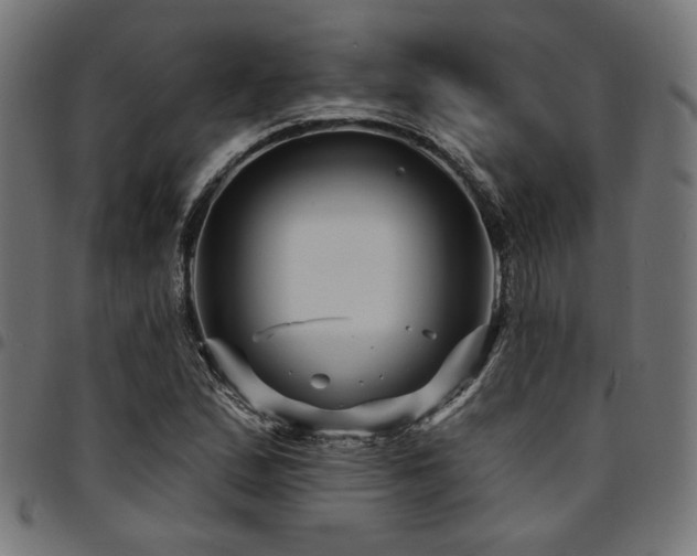X0000095531167200712141456