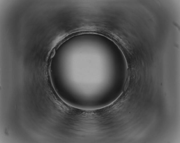X0000095531168200712141456