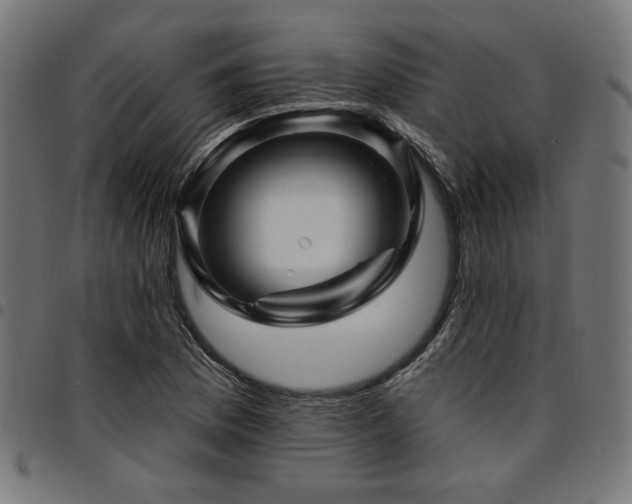 X0000095531169200712141456