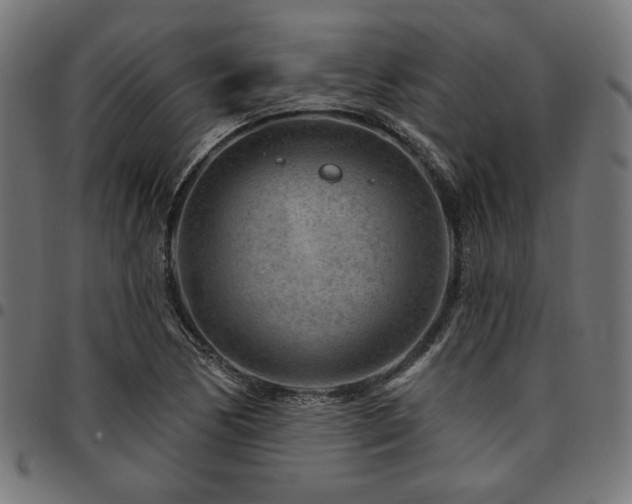 X0000095531170200712141456