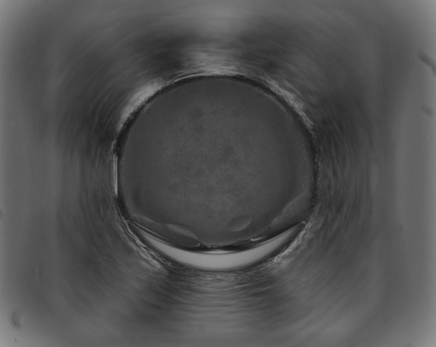 X0000095531171200712141456