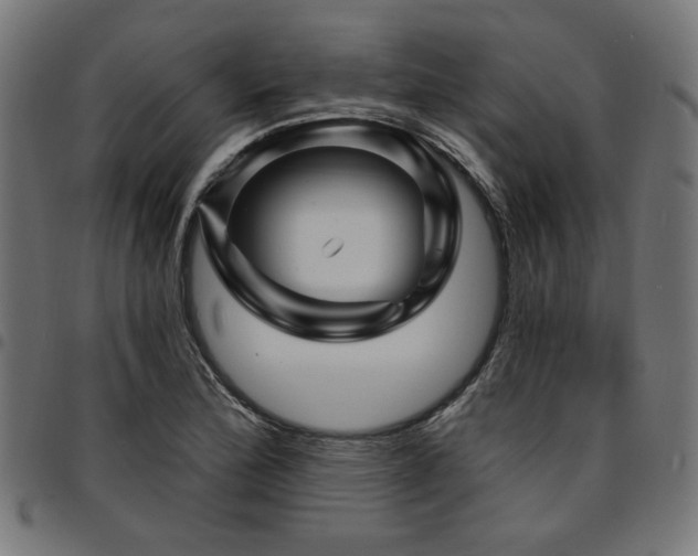 X0000095531172200712141456