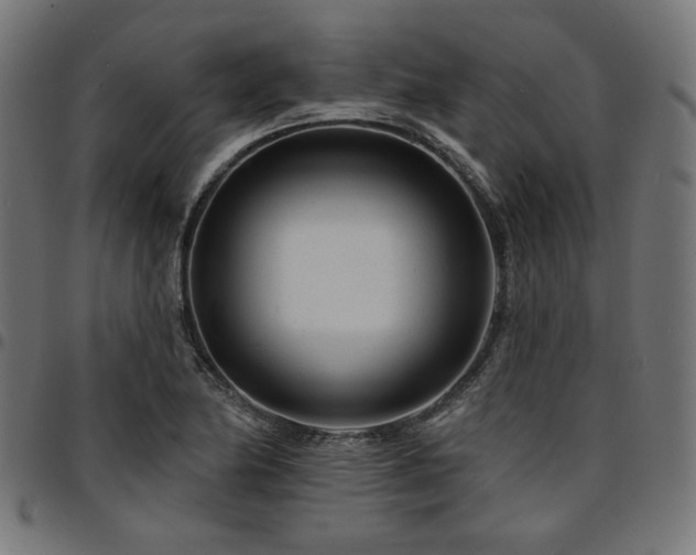 X0000095531174200712141456