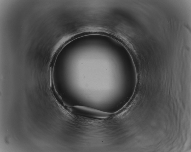 X0000095531175200712141456