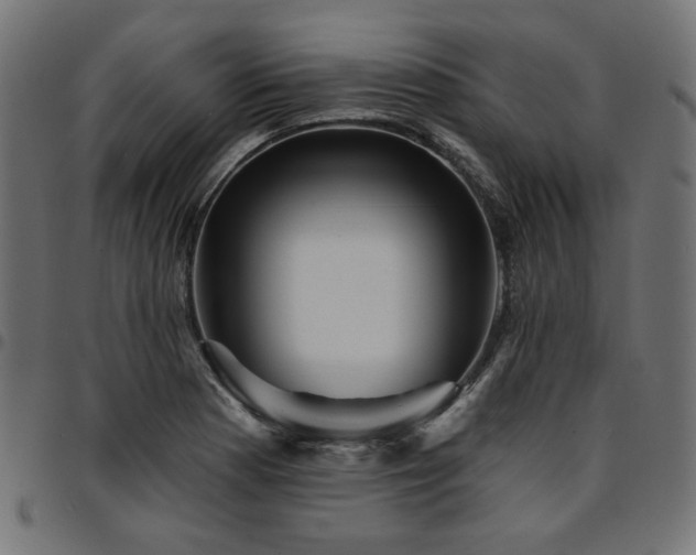 X0000095531177200712141456