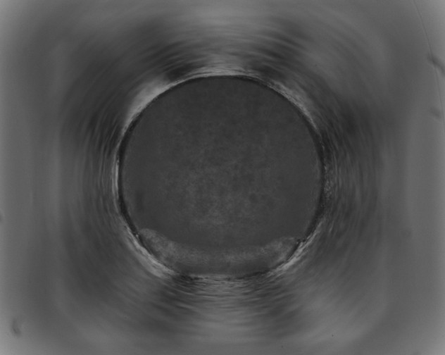 X0000095531179200712141456