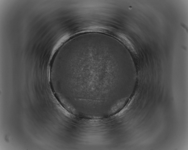 X0000095531180200712141456
