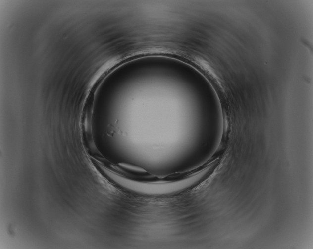 X0000095531181200712141456