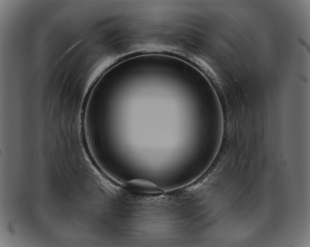 X0000095531183200712141456