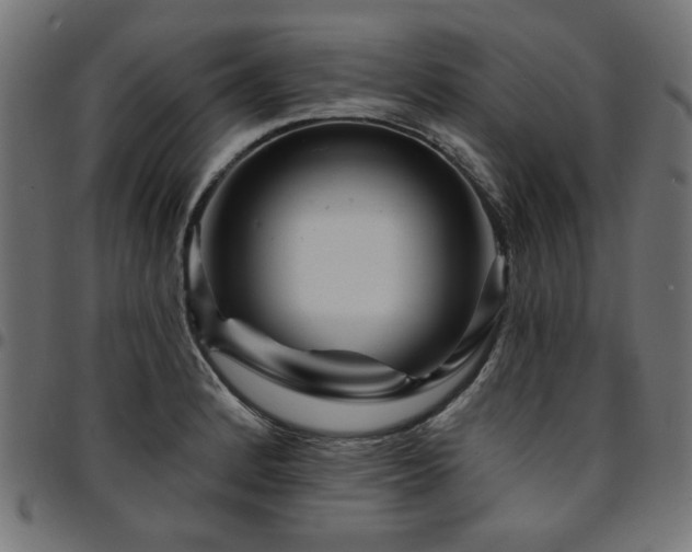 X0000095531184200712141456