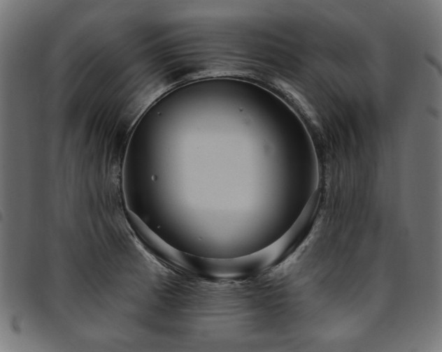 X0000095531185200712141456