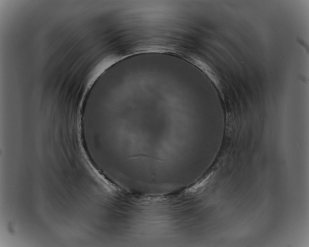 X0000095531187200712141456