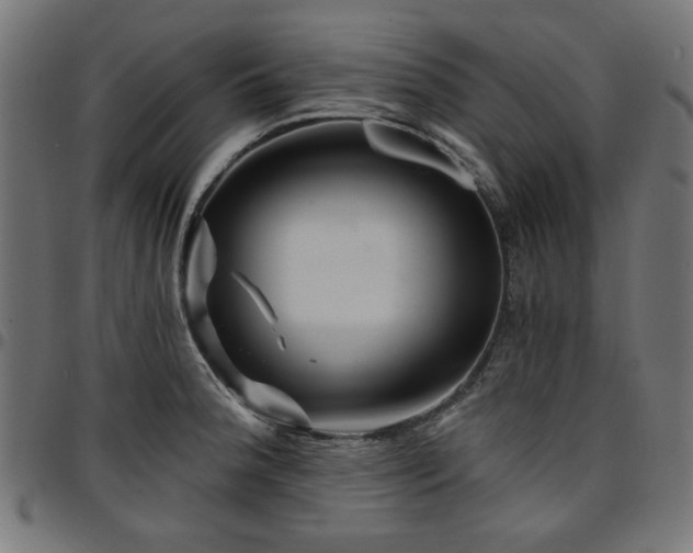 X0000095531188200712141456