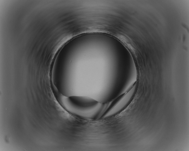 X0000095531189200712141456