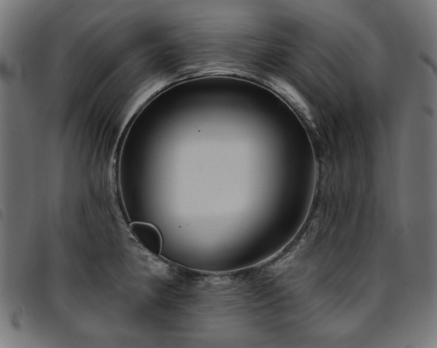 X0000095531190200712141455