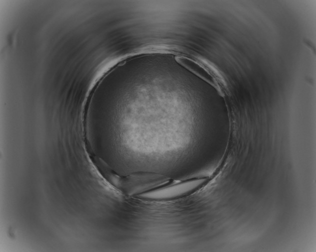 X0000095531192200712141455