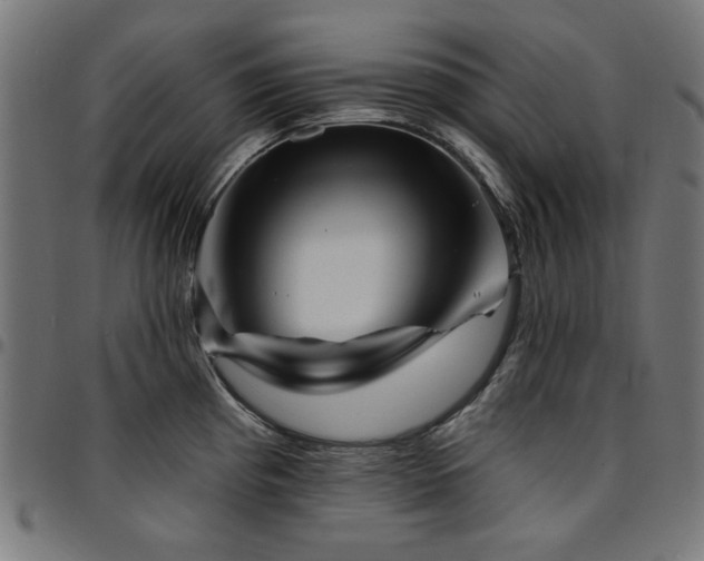 X0000095531193200712141455