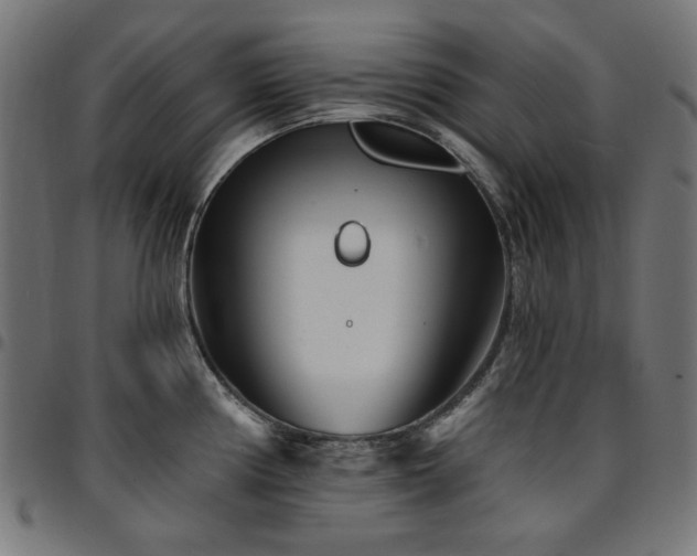 X0000095531194200712141455