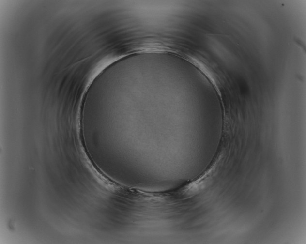 X0000095531195200712141455