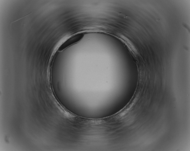 X0000095531196200712141455